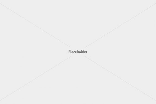 Premium blog templates for wordpress